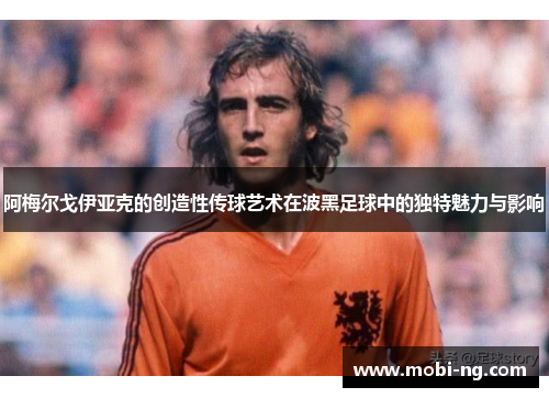 阿梅尔戈伊亚克的创造性传球艺术在波黑足球中的独特魅力与影响