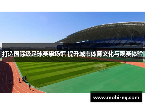打造国际级足球赛事场馆 提升城市体育文化与观赛体验