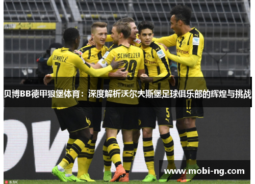 贝博BB德甲狼堡体育：深度解析沃尔夫斯堡足球俱乐部的辉煌与挑战