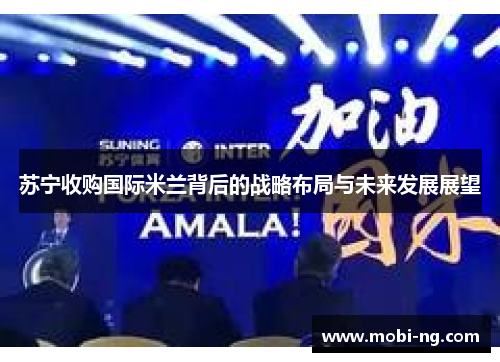 苏宁收购国际米兰背后的战略布局与未来发展展望