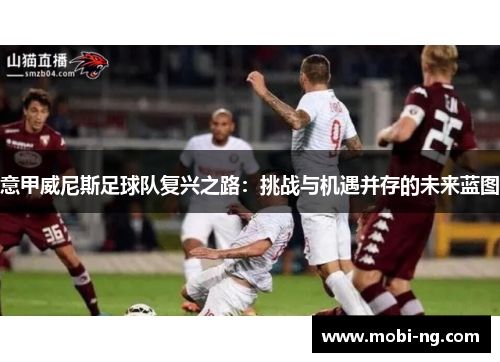 意甲威尼斯足球队复兴之路：挑战与机遇并存的未来蓝图