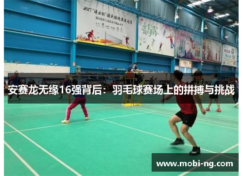 安赛龙无缘16强背后：羽毛球赛场上的拼搏与挑战