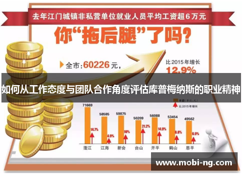 如何从工作态度与团队合作角度评估库普梅纳斯的职业精神