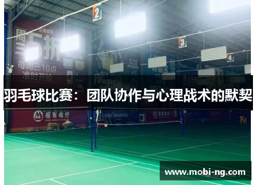 羽毛球比赛：团队协作与心理战术的默契