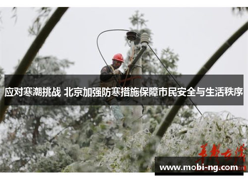 应对寒潮挑战 北京加强防寒措施保障市民安全与生活秩序