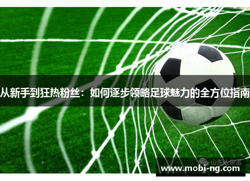 从新手到狂热粉丝：如何逐步领略足球魅力的全方位指南