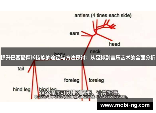 提升巴西最擅长技能的途径与方法探讨：从足球到音乐艺术的全面分析