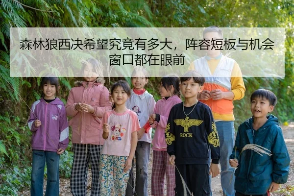 森林狼西决希望究竟有多大，阵容短板与机会窗口都在眼前